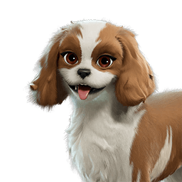Sandy Spaniel