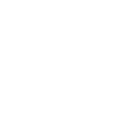 Lil' Big Jellyfish
