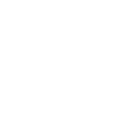 Wildfire
